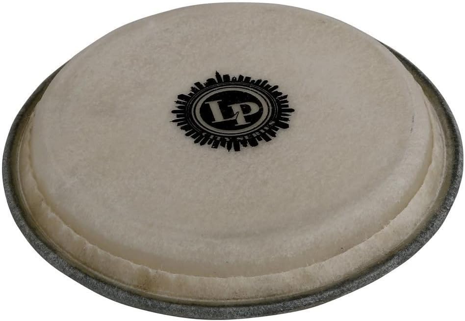 LP LARGE CITY BONGO HEAD