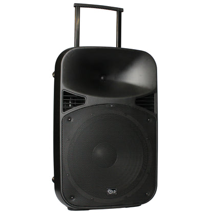 Filo FCA12PA : 12″ Rechargeable Portable PA w/ USB & Bluetooth