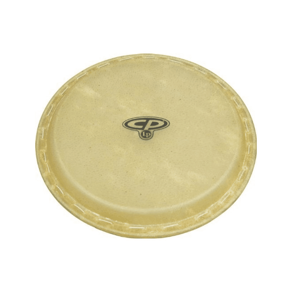 LP 12  CITY CONGA HEAD