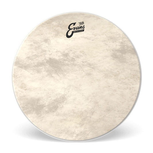 EVANS EQ4 Calftone Coated 22" Drumhead