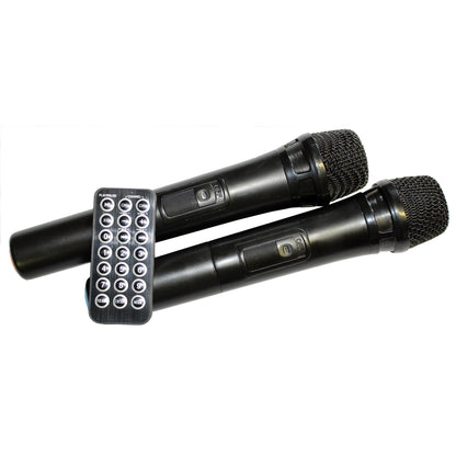 Filo FCA12PA : 12″ Rechargeable Portable PA w/ USB & Bluetooth