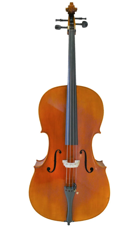 SANDNER 4/4 CELLO OUTFIT +BOW & BAG