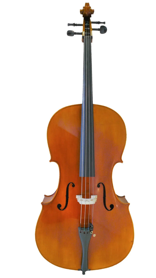 SANDNER 4/4 CELLO OUTFIT +BOW & BAG