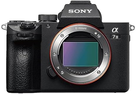 Sony Alpha a7 III Mirrorless Digital Camera