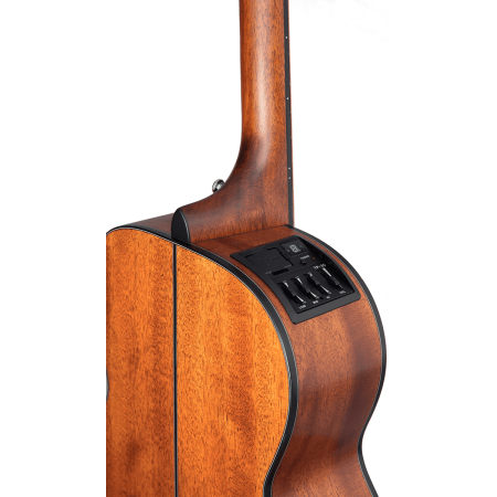 Takamine GLN11ENS Mahogany Mahogany Natural Satin No Cutaway